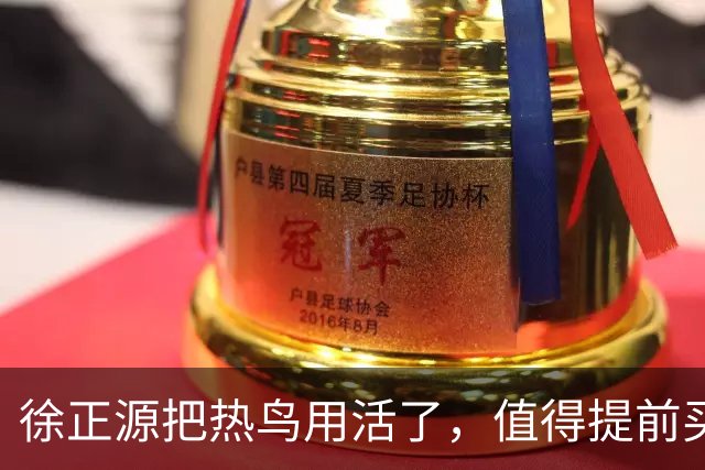 徐正源把热鸟用活了，值得提前买断 17岁新星有国脚潜力 瓦吉奇被弃